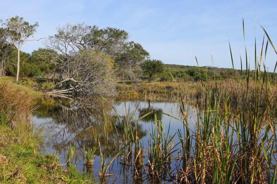 0 Bedroom Property for Sale in Kromme River Estate Eastern Cape